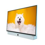 Skyworth 24-inch FHD Portable Smart Google TV - Blue - Image 4