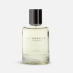 BURBERRY WEEKEND FOR MEN EDT 100ML - Image 2
