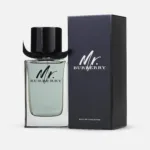 BURBERRY MR. BURBERRY EDT 100ML