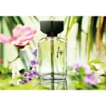 FIDJI EDT 100 ML FOR MEN - Image 2