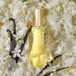 GIORGIO BEVERLY HILLS FOR WOMEN EDT 90 ML